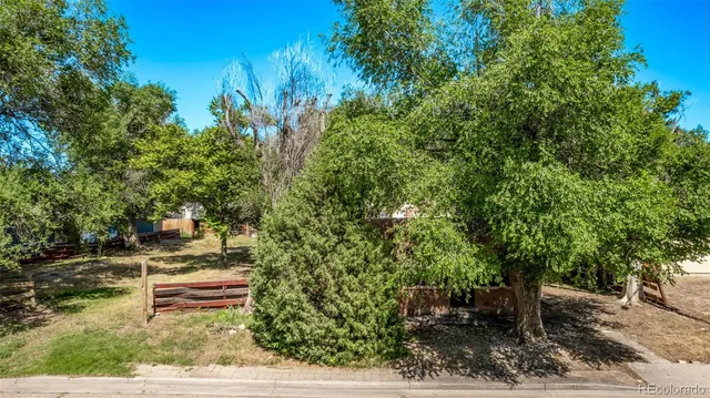 front view of a house with a tree