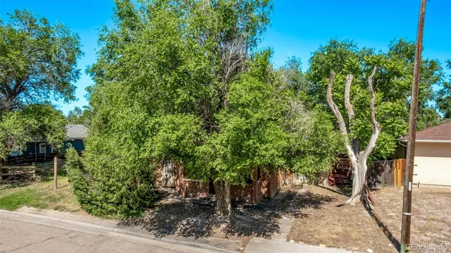 a bench sitting in the middle of a forest