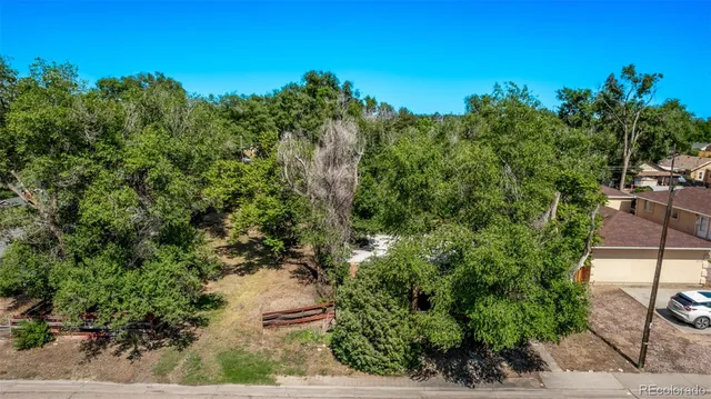 a view of a garden with plants