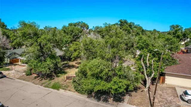 a view of a garden with trees