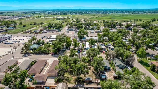 a view of a park with large trees