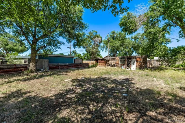 a view of a yard with plants and trees