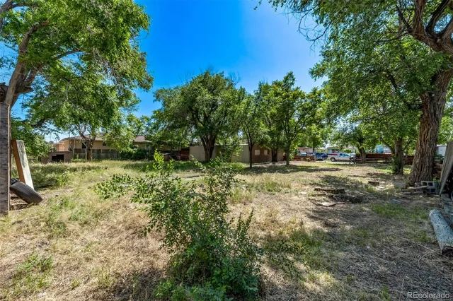 a view of outdoor space with trees all around