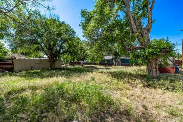 a view of backyard with green space
