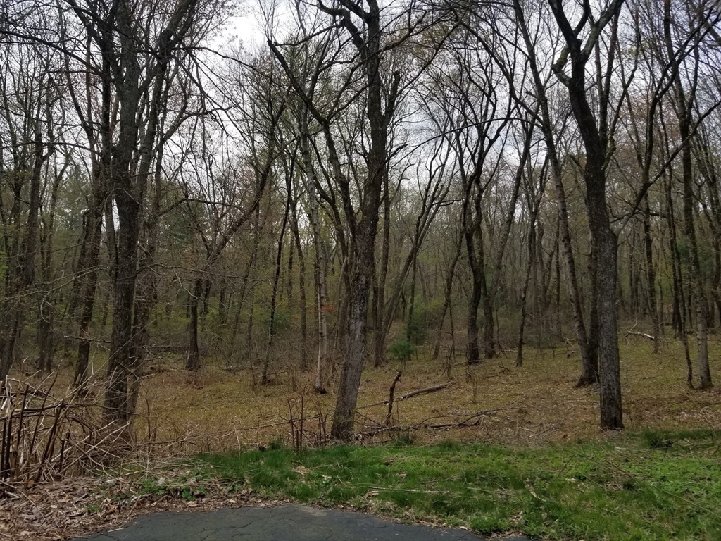 186 Spring Street Hopkinton, MA 01748 - Photo 35 of 36