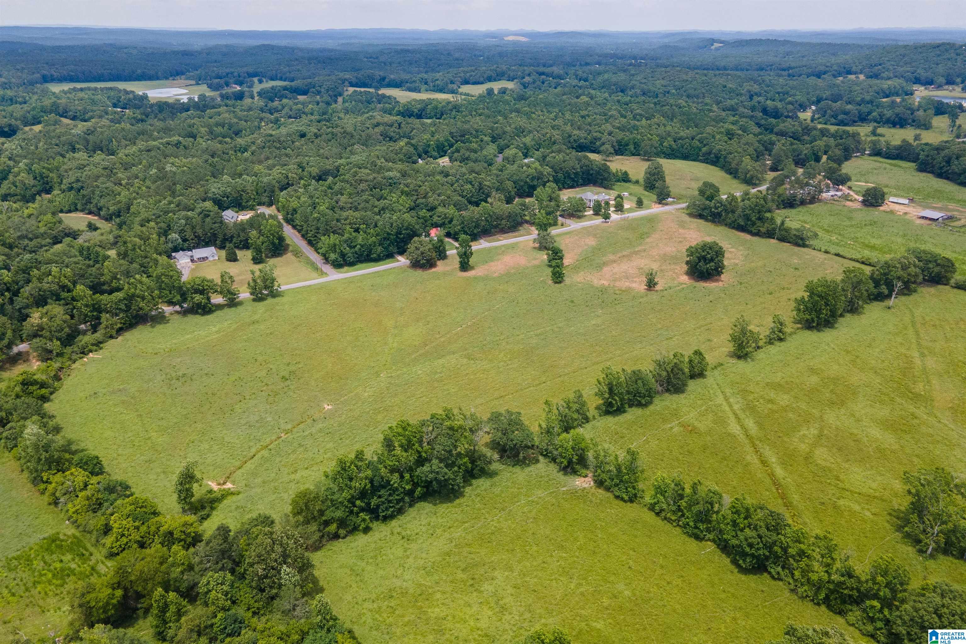 435 Lee Cutoff Road Pell City, AL 35125 - Photo 69 of 83