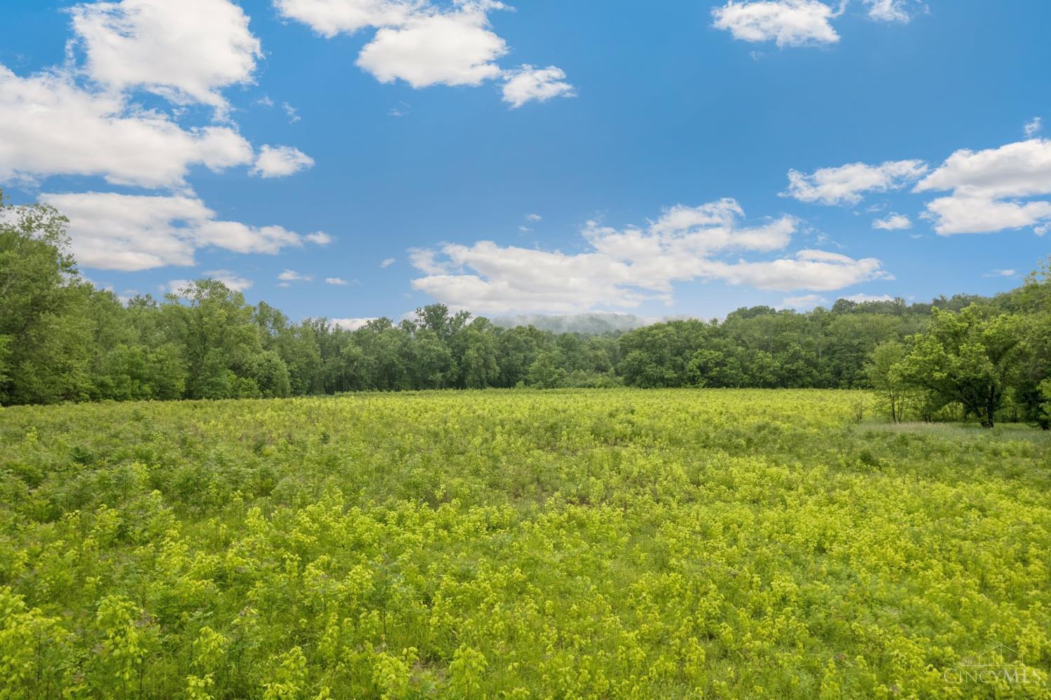 455 Waggoner Riffle Road Lynx, OH 45650 - Photo 30 of 45