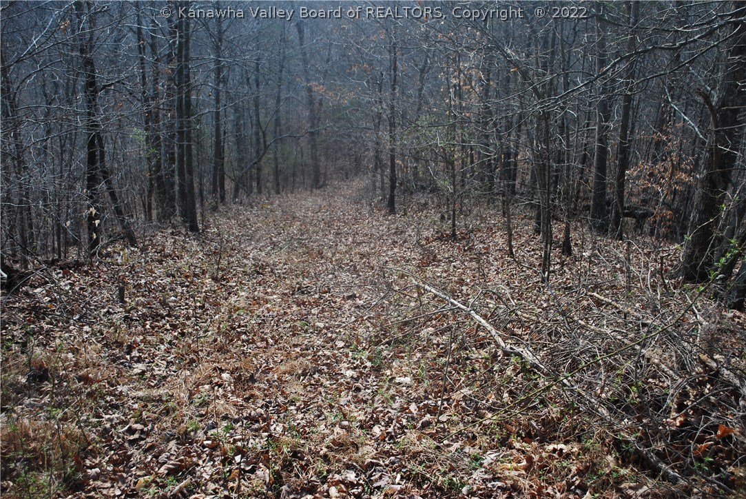 0 Dunlavey Ridge Road Fraziers Bottom, WV 25082 - Photo 5 of 6 Gallery Image 5