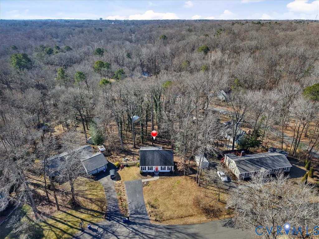 12505 Mandolin Drive Midlothian, VA 23113 - Photo 26 of 26 a view of a forest with mountain view