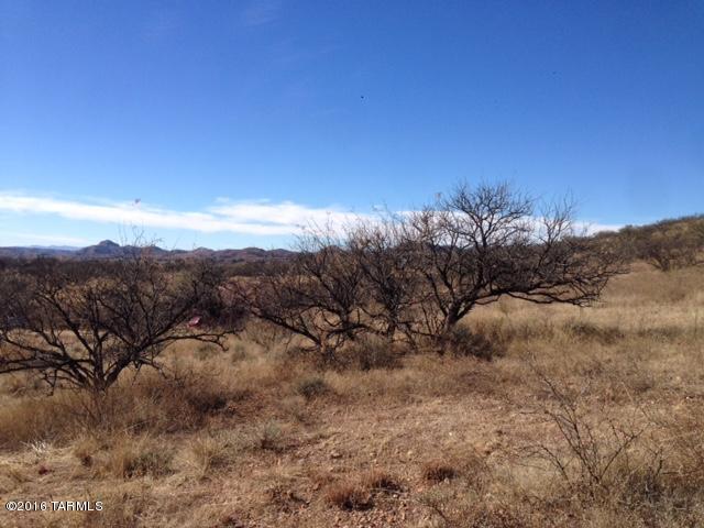 245 Circulo Montana, Unit 23 Nogales, AZ 85621 - Photo 3 of 4 a view of mountain view with lots of trees