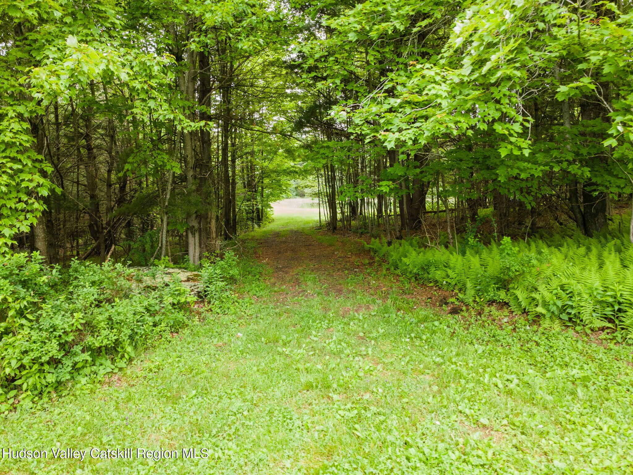 552 Bear Kill Road Gilboa, NY 12076 - Photo 4 of 63 61-552BearKillRd_61