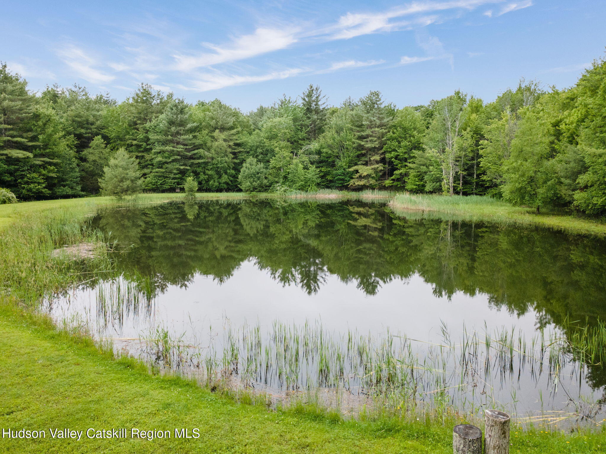 552 Bear Kill Road Gilboa, NY 12076 - Photo 60 of 63 a view of a lake with a big yard and large trees