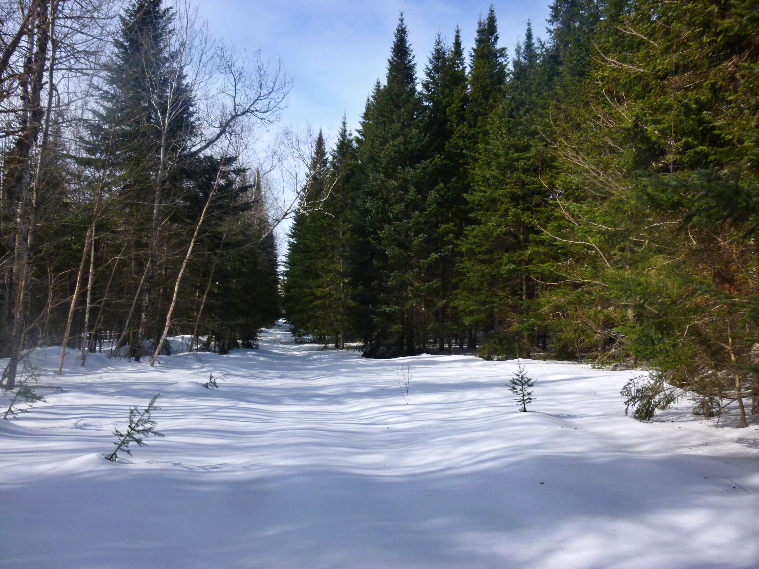 4459 Aroostook Road Winterville Plt, ME 04739 - Photo 17 of 21 Terry Winterville P1030536