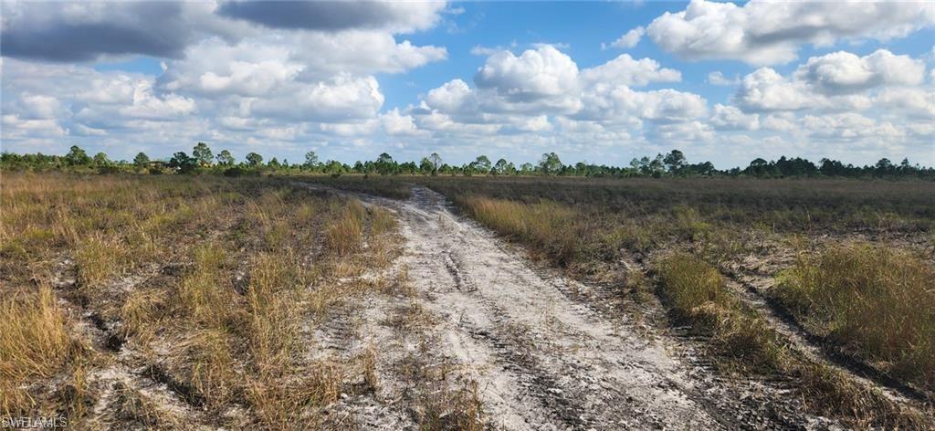 a view of a lake from a yard
