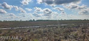 50412 Bermont Road Punta Gorda, FL 33982 - Photo 3 of 4 a view of a yard