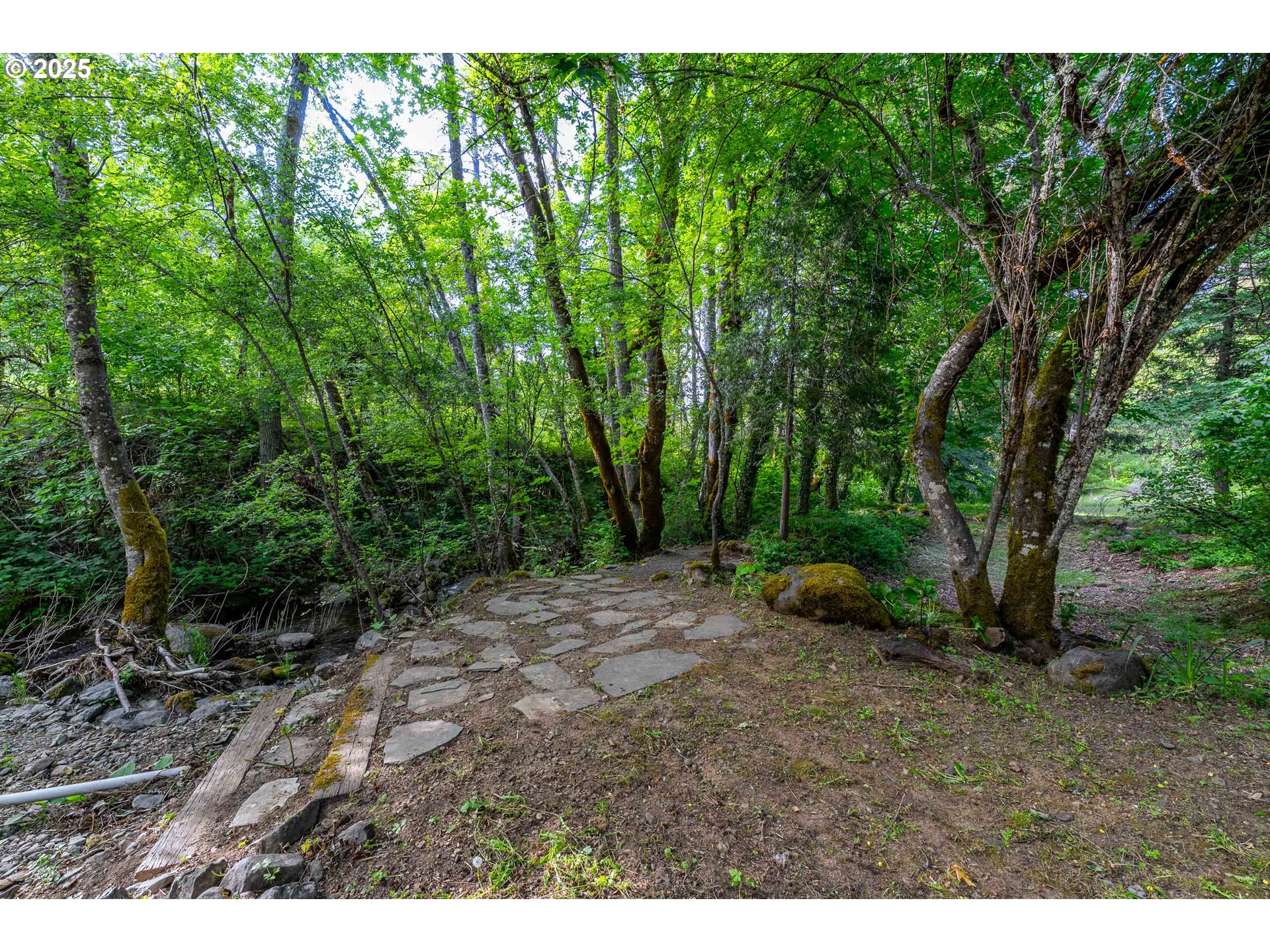 988 Savage Creek Road Grants Pass, OR 97527 - Photo 12 of 48 a view of a yard with plants and large trees
