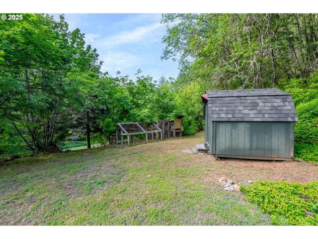 a view of a backyard with plants and large tree