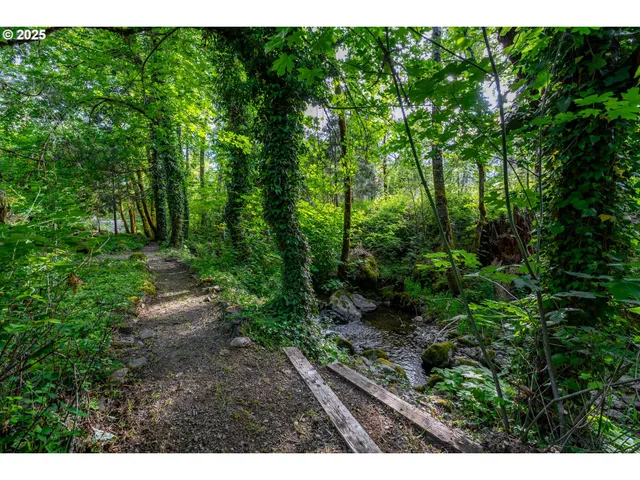 a view of a yard with plants and a tree