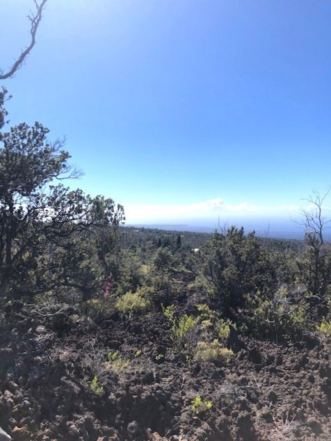 Lot A Aloha Boulevard Ocean View, HI 96704 - Photo 11 of 18