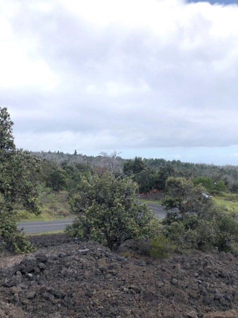 Lot A Aloha Boulevard Ocean View, HI 96704 - Photo 12 of 18 a view of a field with trees in the background
