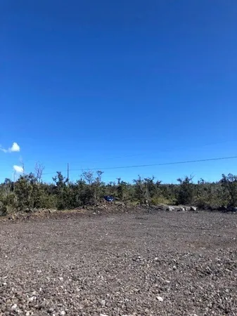 a view of a bunch of trees in a field