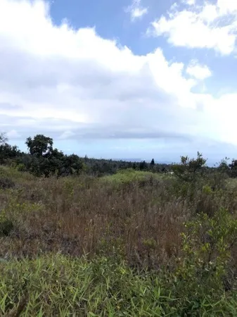 a view of a field with trees in the background