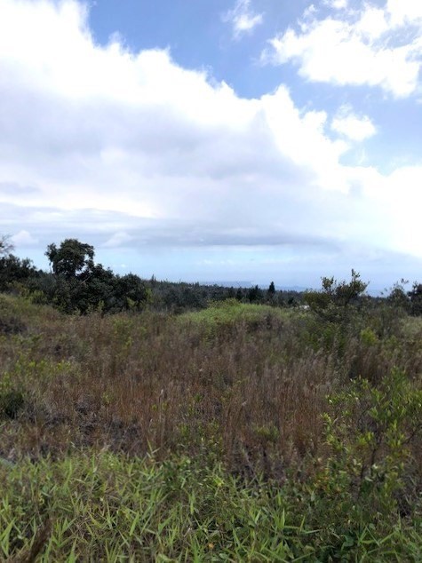 Lot A Aloha Boulevard Ocean View, HI 96704 - Photo 8 of 18 a view of a bunch of trees in a field