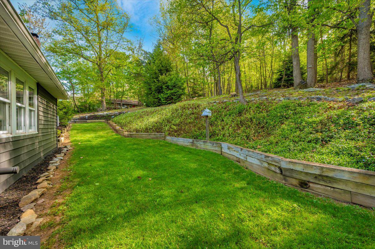 13449 Edgemont Road Smithsburg, MD 21783 - Photo 56 of 70 a view of a yard with large trees