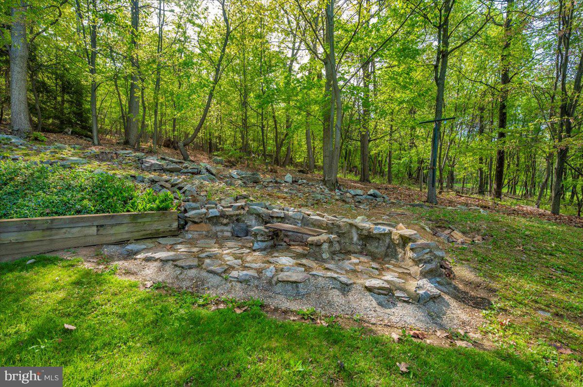 13449 Edgemont Road Smithsburg, MD 21783 - Photo 62 of 70 a view of a yard with large trees
