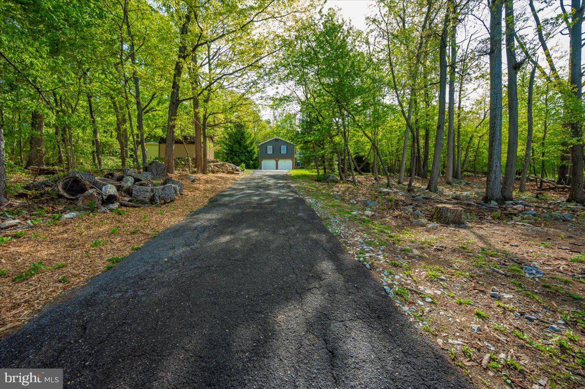 13449 Edgemont Road Smithsburg, MD 21783 - Photo 69 of 70 a view of a tree in the middle of a yard