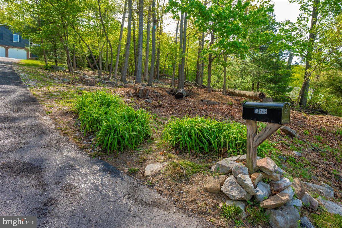 13449 Edgemont Road Smithsburg, MD 21783 - Photo 70 of 70 a backyard of a house with lots of green space
