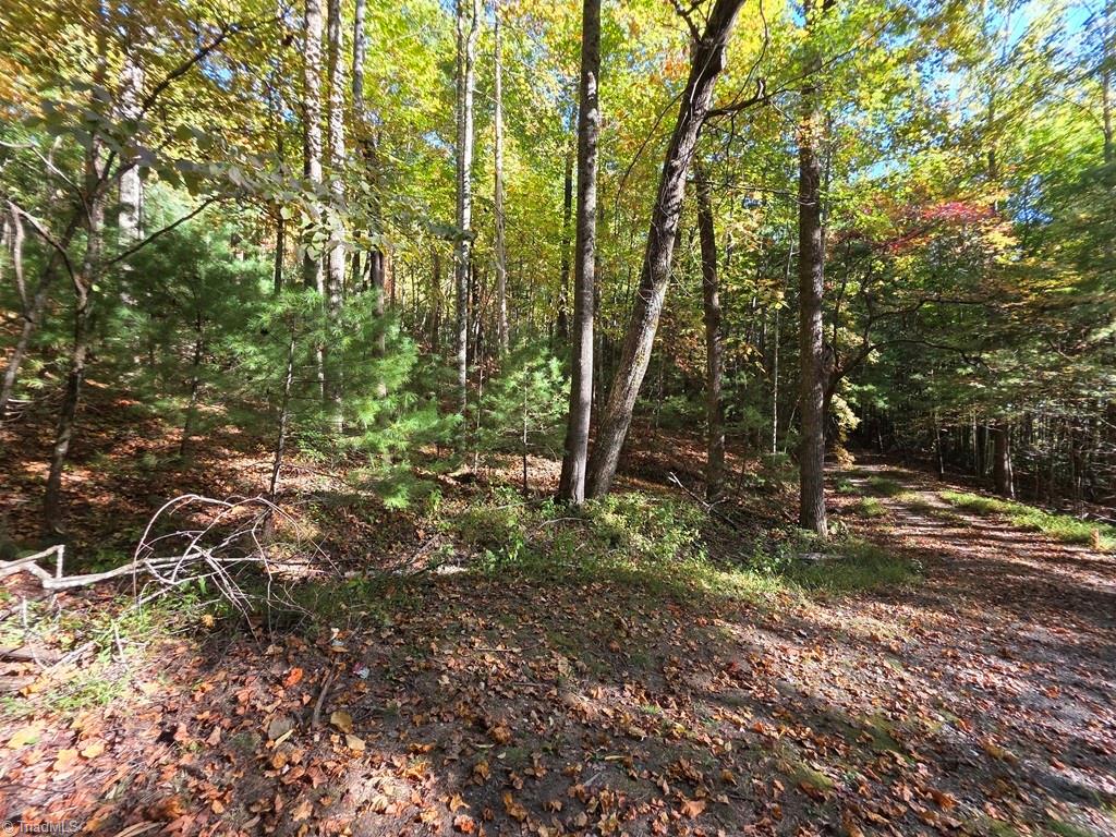 4091 Big Ivy Road Purlear, NC 28665 - Photo 28 of 41 Gallery Image 28