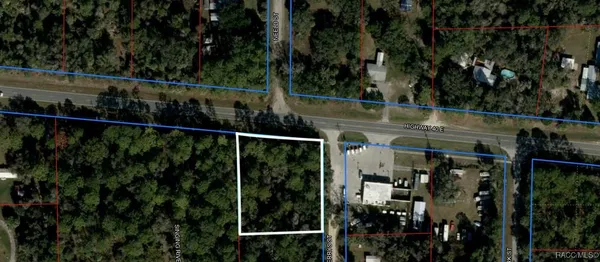 $30,000 | Lot 10 Highway 40 Inglis, Inglis, FL 34449