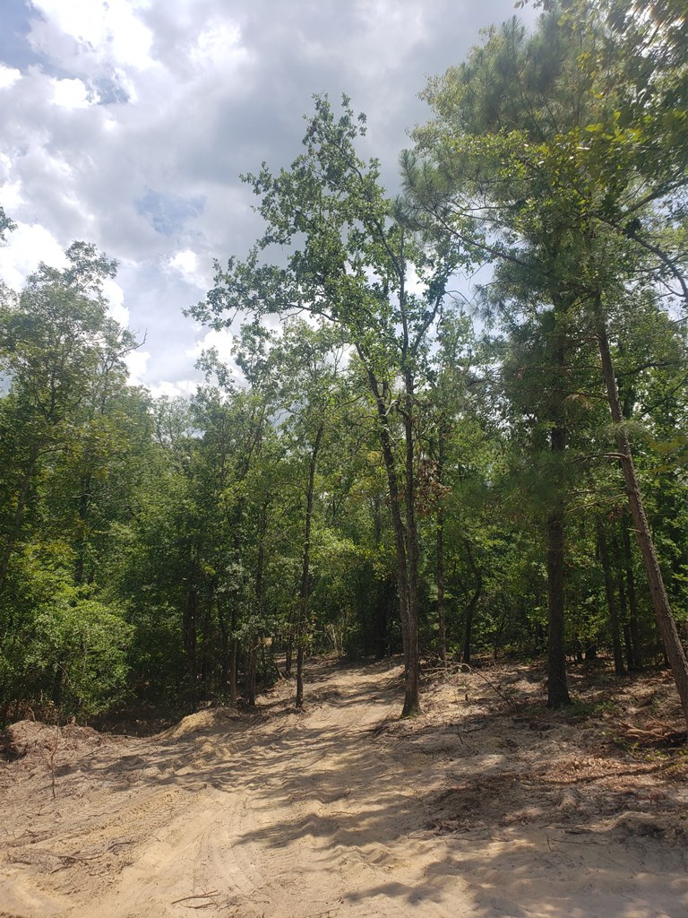 1171 Wire Road Aiken, SC 29805 - Photo 3 of 15