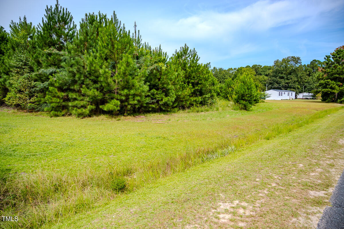 0 John Nunnery Road Stedman, NC 28391 - Photo 5 of 24 6ac - Watson - Cumberland Co. - DM (2)