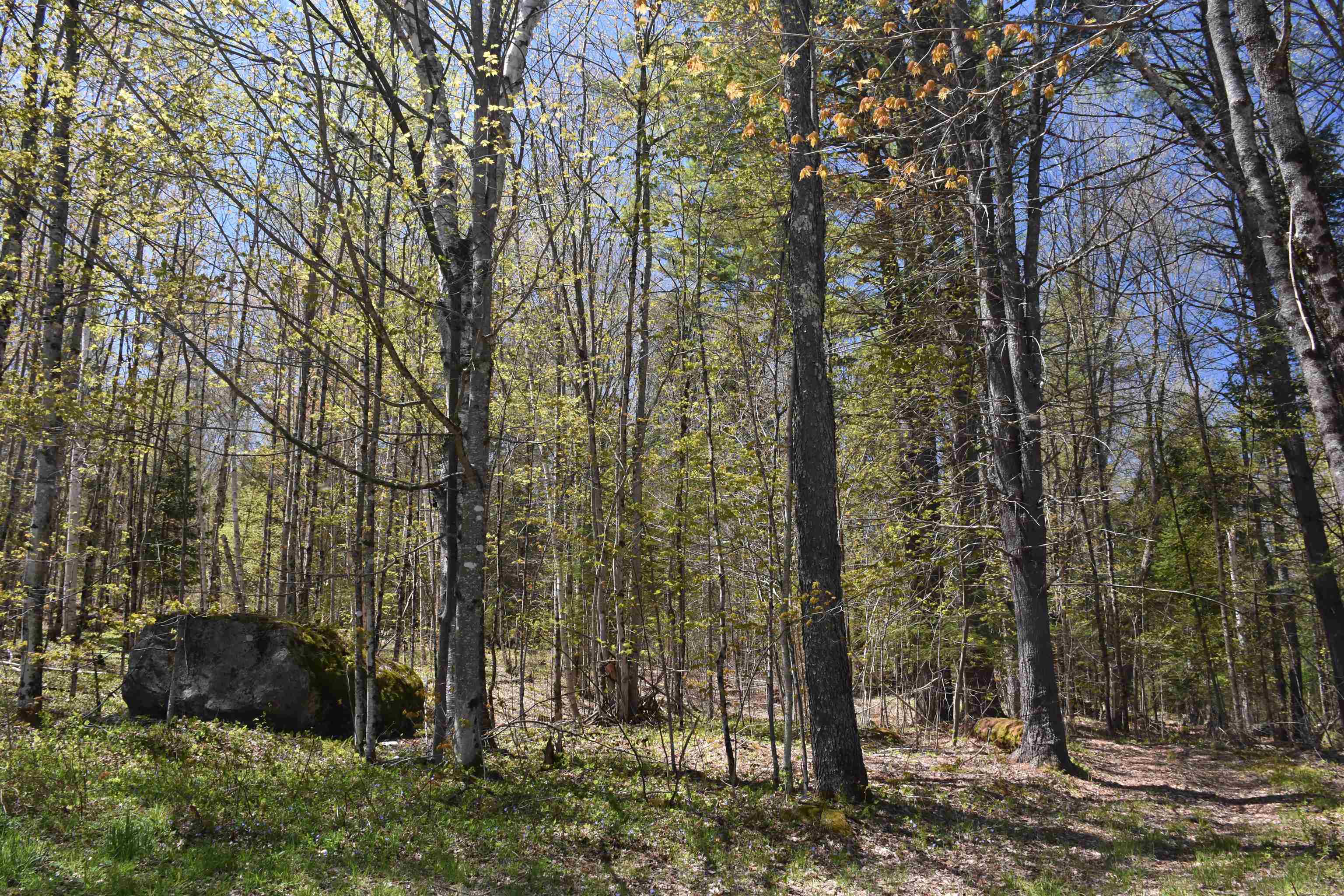 120 Darling Road Marshfield, VT 05658 - Photo 58 of 60