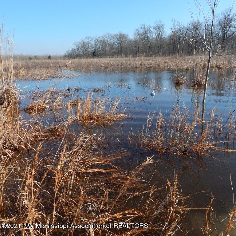 2301 Bland Road Lambert, MS 38643 - Photo 1 of 38 Gallery Image 1