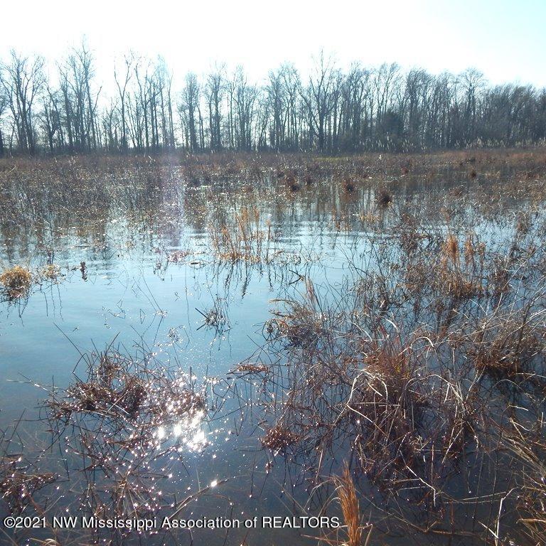 2301 Bland Road Lambert, MS 38643 - Photo 13 of 38 Gallery Image 13