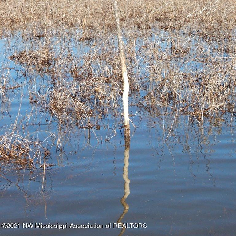 2301 Bland Road Lambert, MS 38643 - Photo 14 of 38 Gallery Image 14