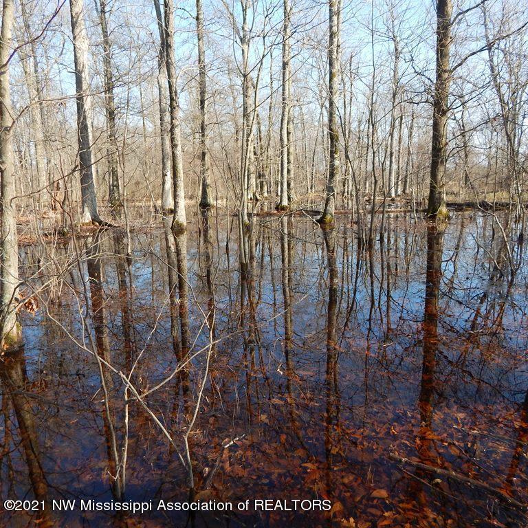 2301 Bland Road Lambert, MS 38643 - Photo 16 of 38 Gallery Image 16