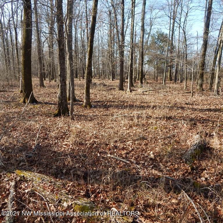 2301 Bland Road Lambert, MS 38643 - Photo 17 of 38 Gallery Image 17