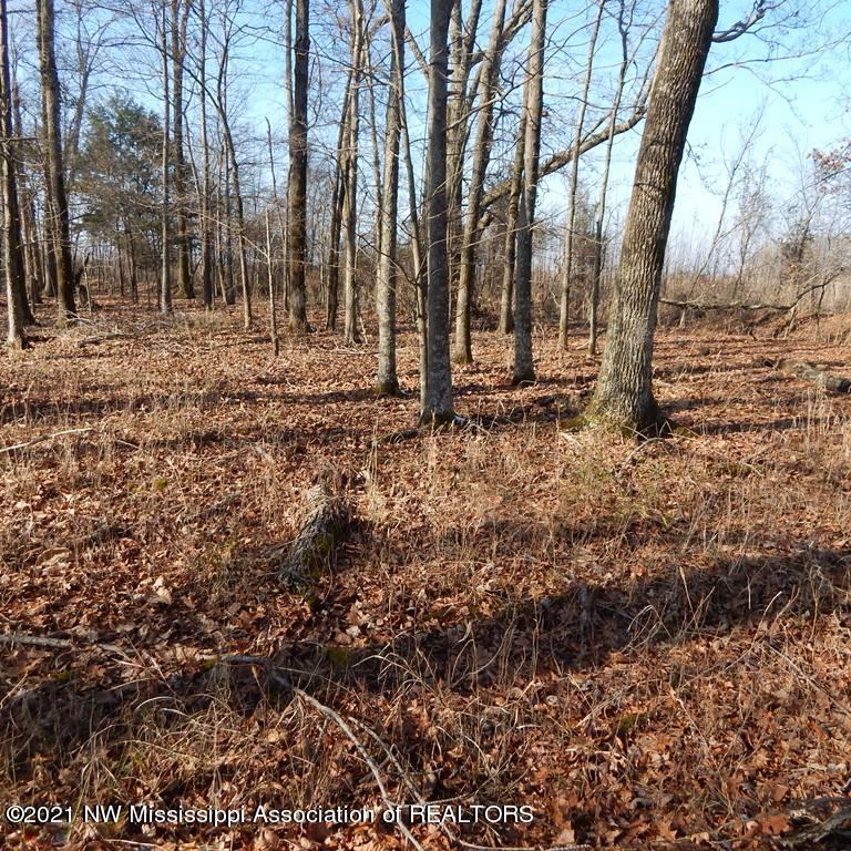 2301 Bland Road Lambert, MS 38643 - Photo 19 of 38 Gallery Image 19