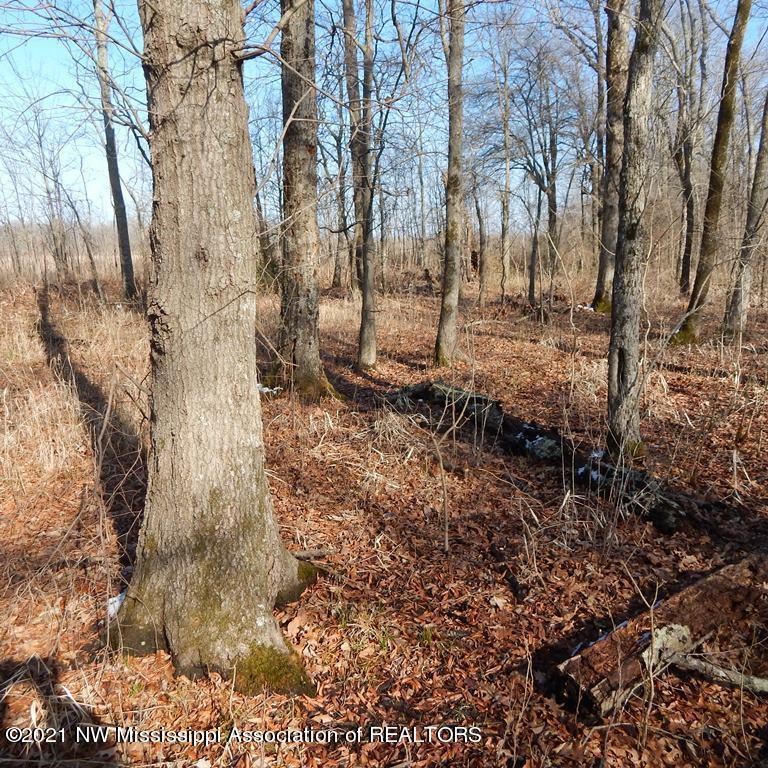2301 Bland Road Lambert, MS 38643 - Photo 20 of 38 Gallery Image 20