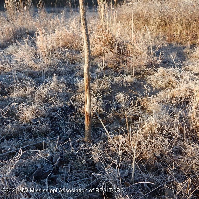 2301 Bland Road Lambert, MS 38643 - Photo 24 of 38 Gallery Image 24