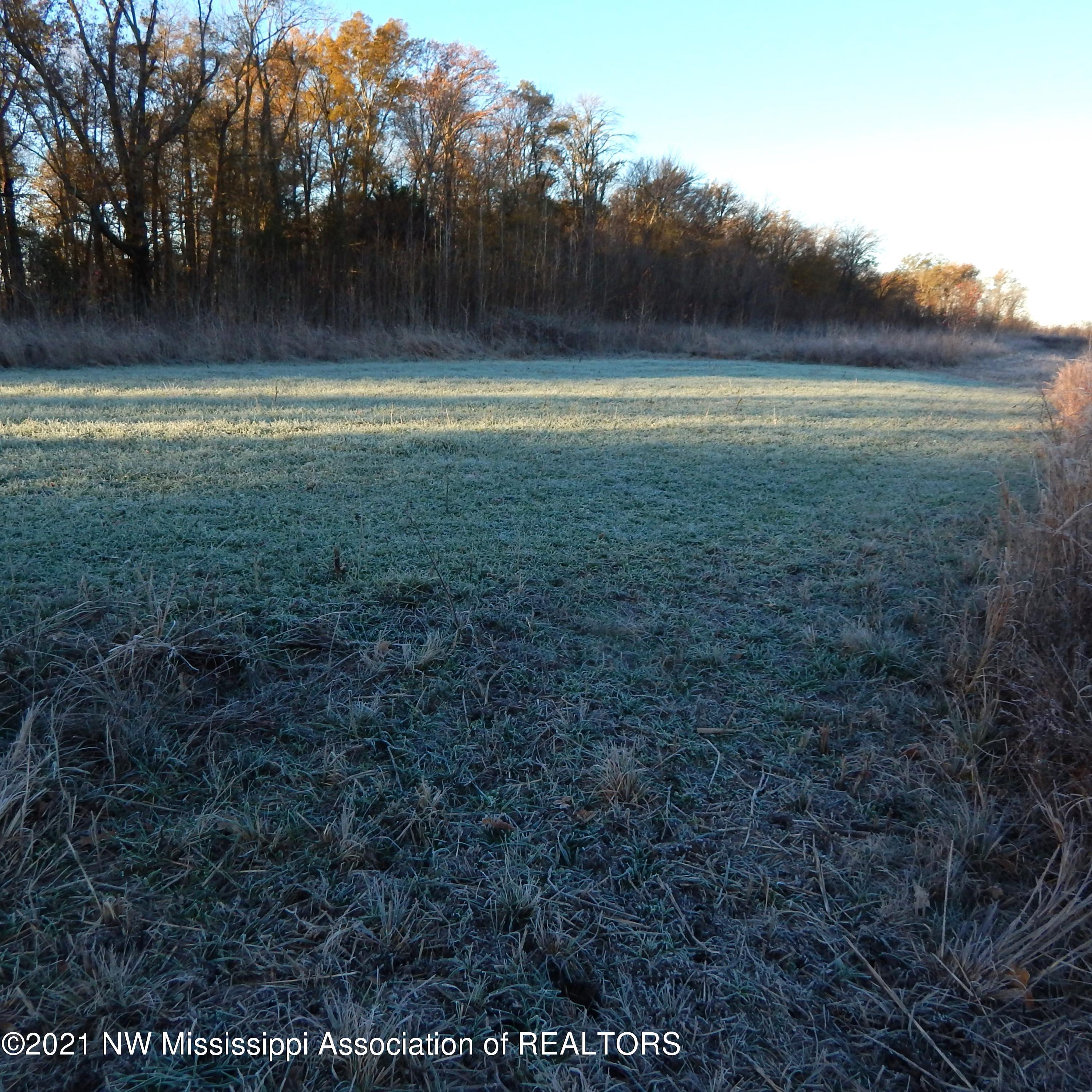 2301 Bland Road Lambert, MS 38643 - Photo 25 of 38 Gallery Image 25