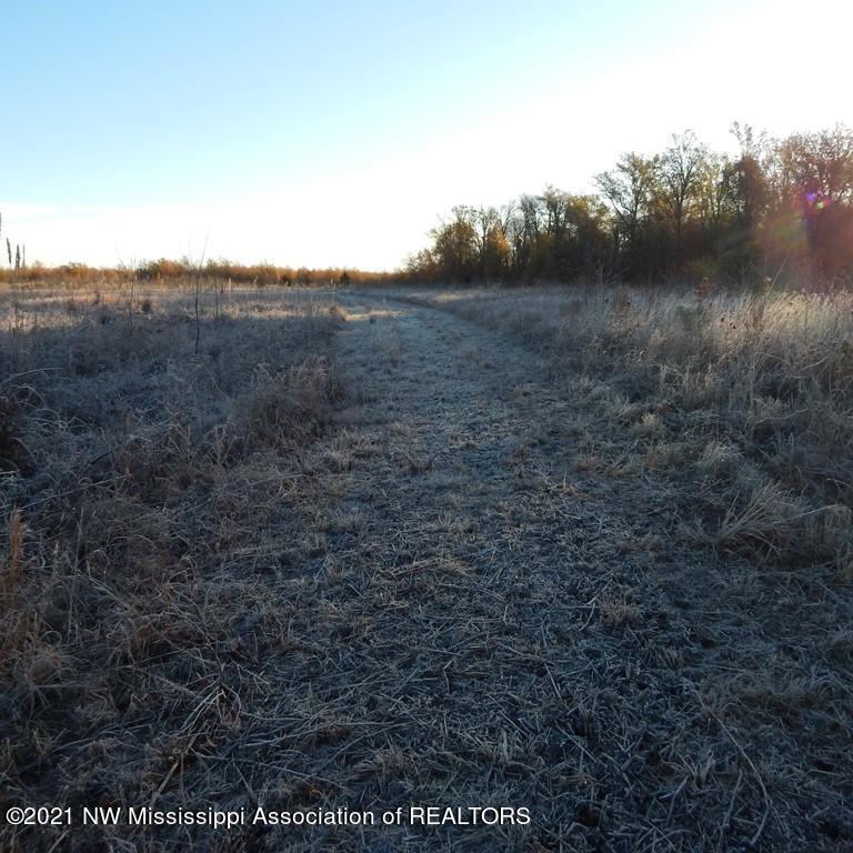 2301 Bland Road Lambert, MS 38643 - Photo 26 of 38 Gallery Image 26