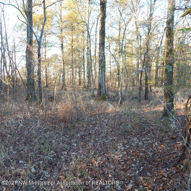 2301 Bland Road Lambert, MS 38643 - Photo 27 of 38 Gallery Image 27