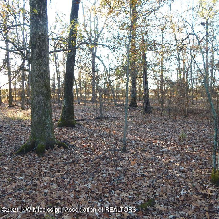 2301 Bland Road Lambert, MS 38643 - Photo 28 of 38 Gallery Image 28