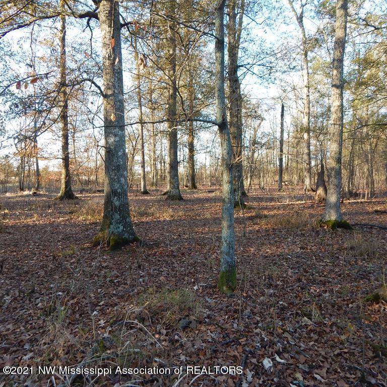 2301 Bland Road Lambert, MS 38643 - Photo 29 of 38 Gallery Image 29