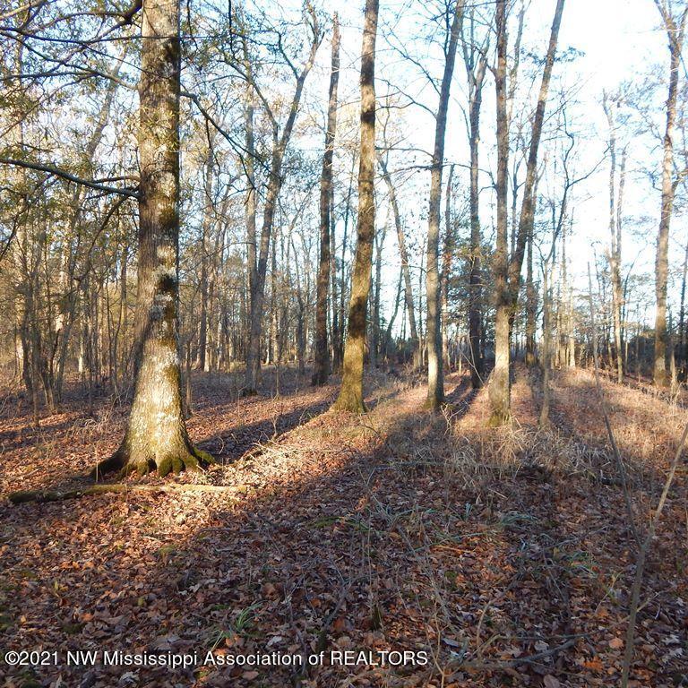 2301 Bland Road Lambert, MS 38643 - Photo 31 of 38 Gallery Image 31
